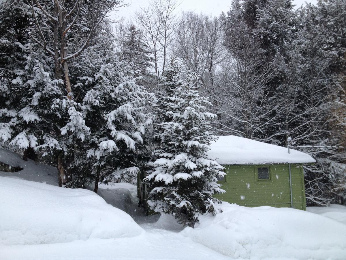 The Woods Lodge Northfield Kültér fotó