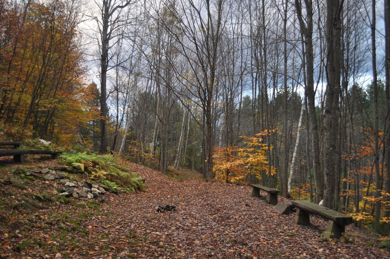 The Woods Lodge Northfield Kültér fotó